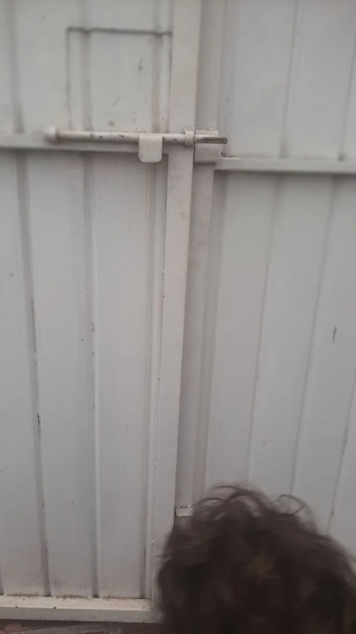 Portao 2 folhas 1,60x2,27 completo chapa grossa64840773486082122