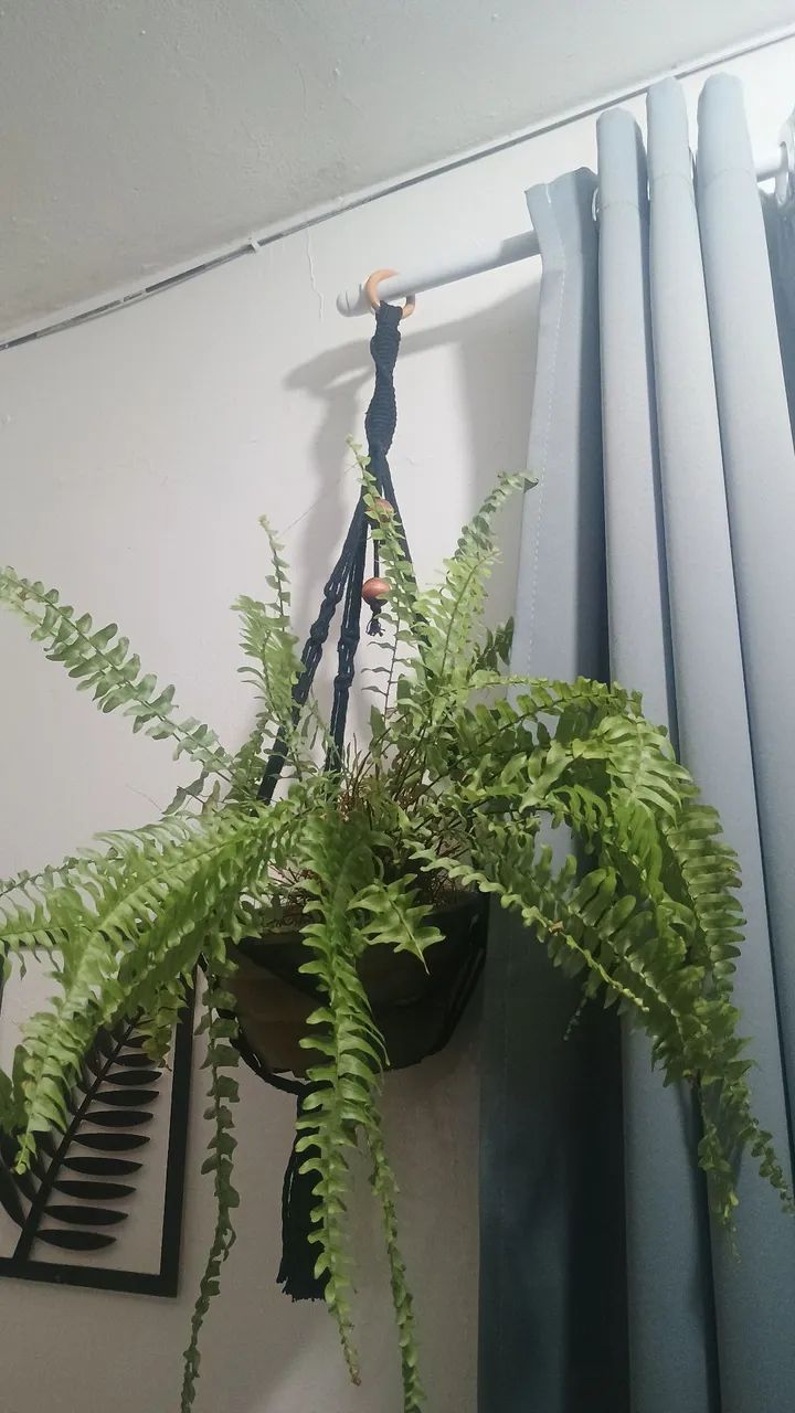 Suporte de plantas macramé 