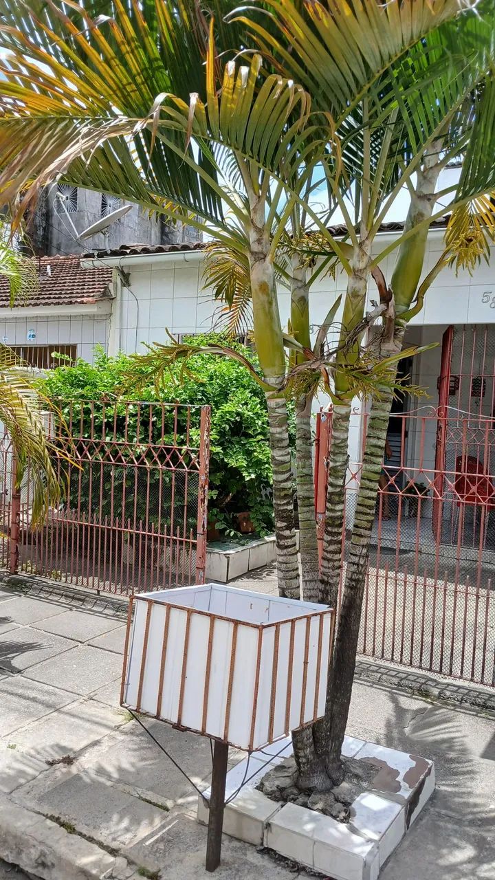 Foto - Recife - Afogados