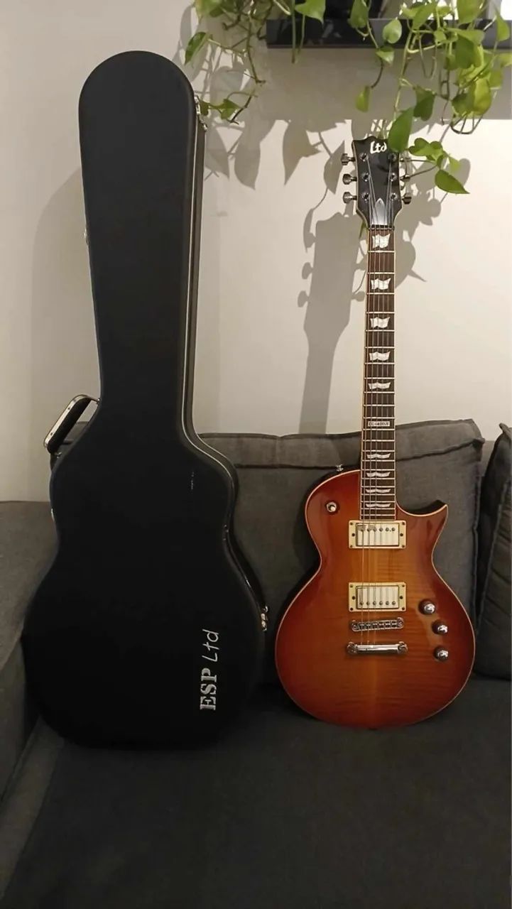 Guitarra LTD EC-401VF