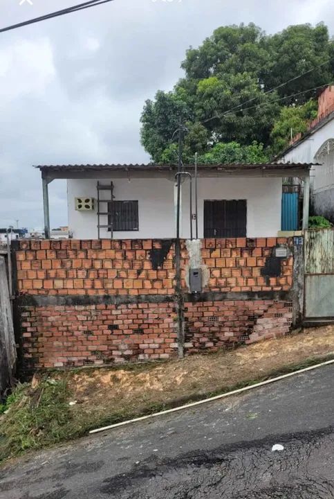 foto - Manaus - Flores