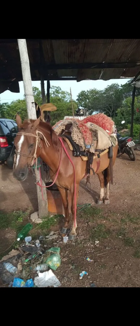  vendo 3anos 2.000
