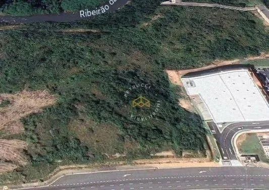 Terreno à venda, 435 m² por R$ 7.099.443,00 - Loteamento Residencial Arborais - Campinas/S