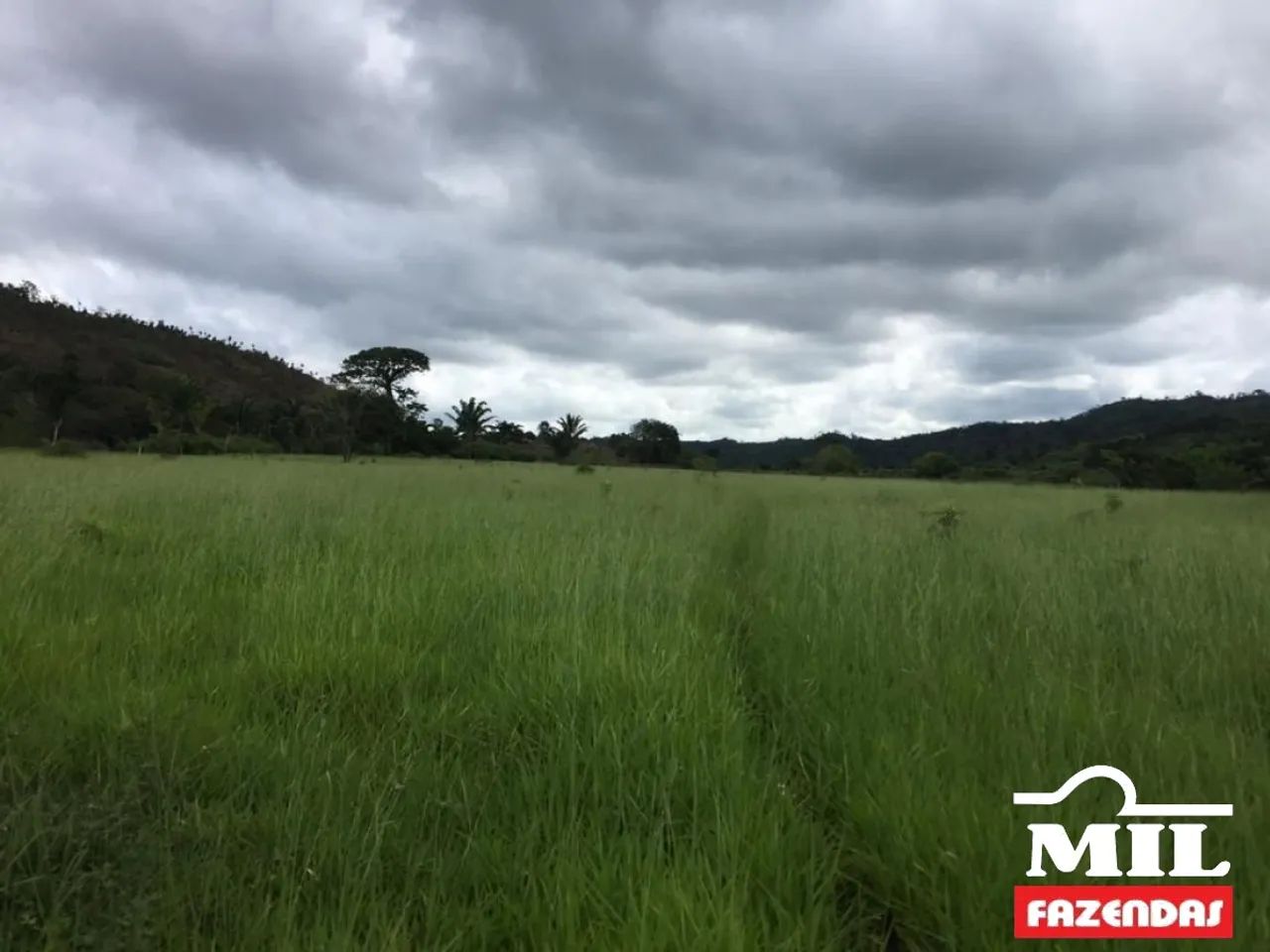 Fazenda em Confresa-MT. . 505 Alq. (2.444 Há) - Foto 2