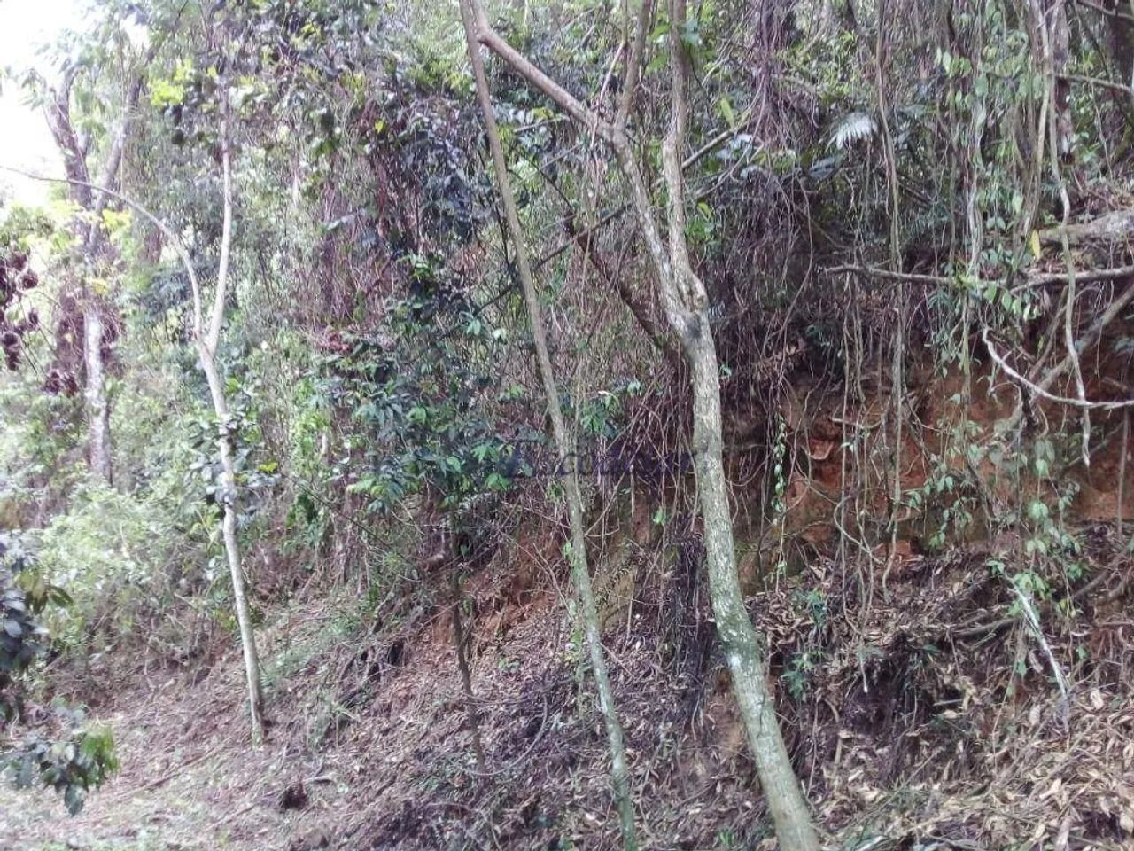 Terreno à venda, 1140 m² por R$ 120.000,00 - Parque Petrópolis - Mairiporã/SP - Foto 15