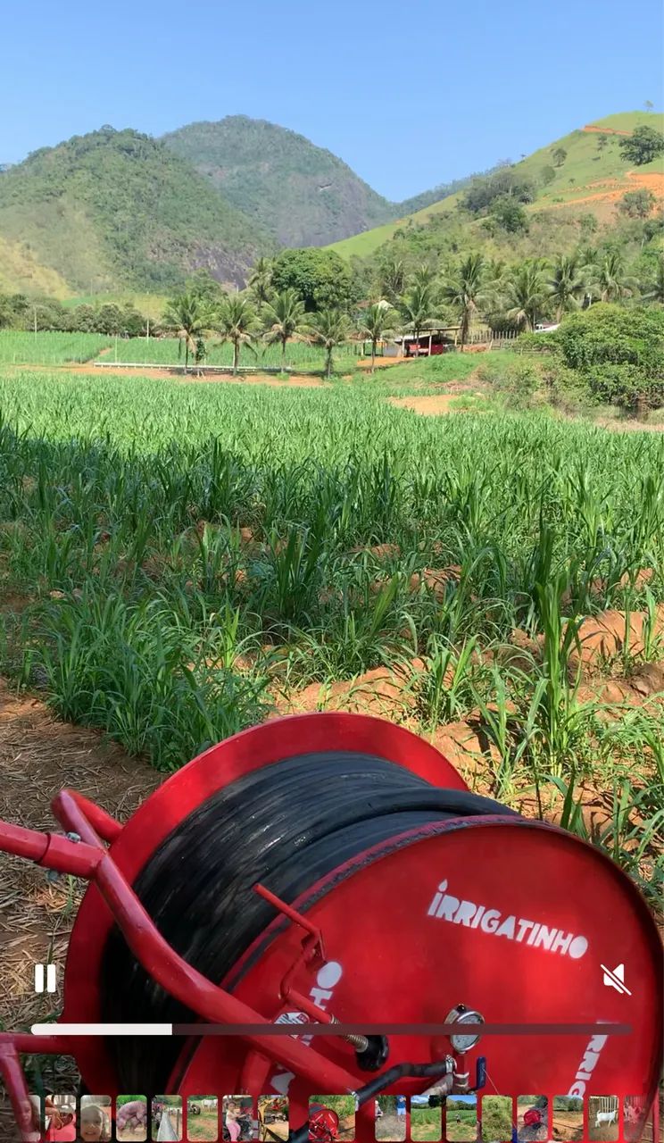 Irrigação autopropelido  - Foto 2