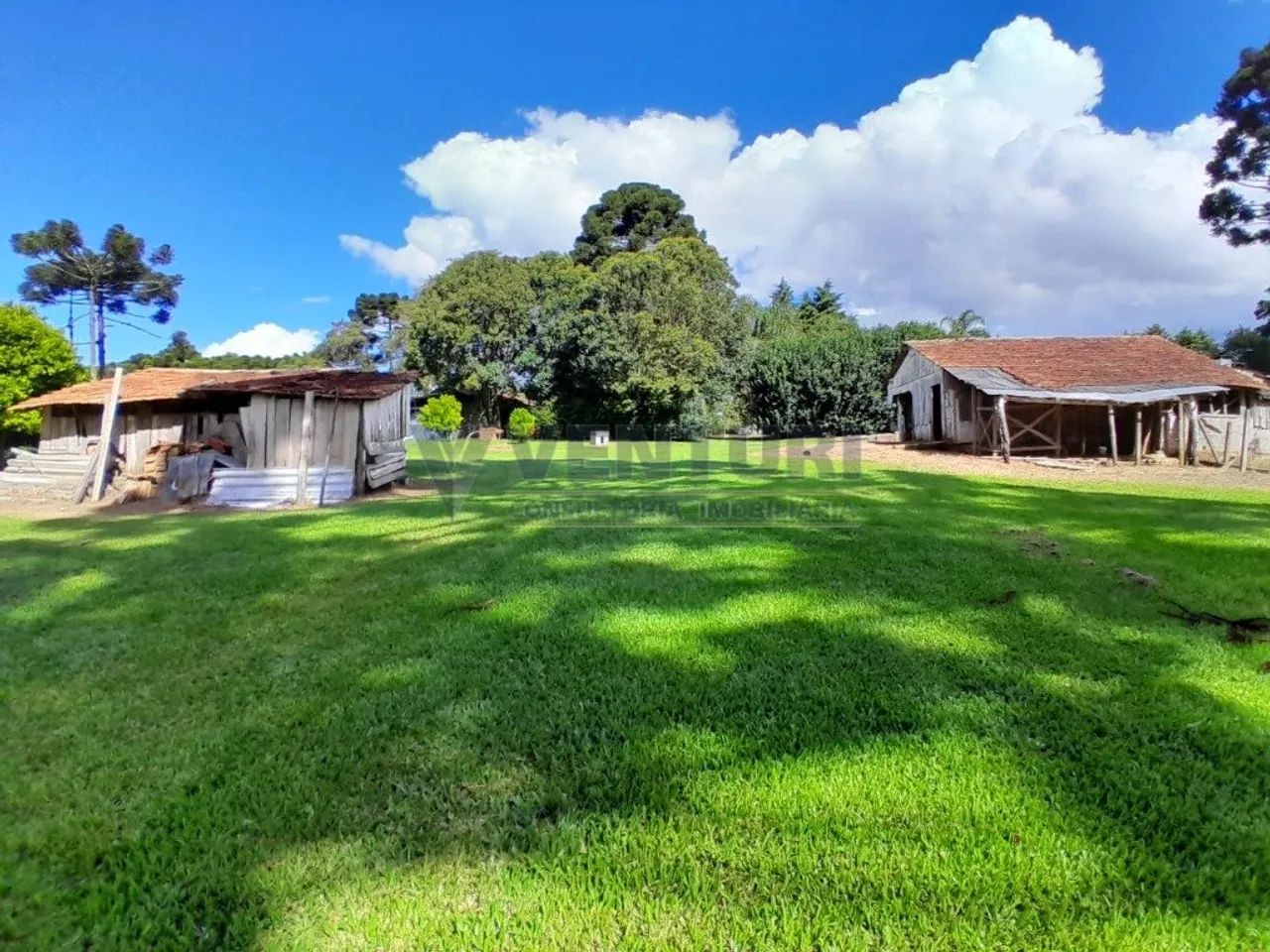 Área 239.216,32m² - Campo Largo da Roseira - Foto 5