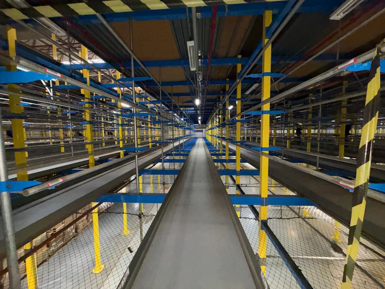 Hang Sorter Sdi - Foto 2