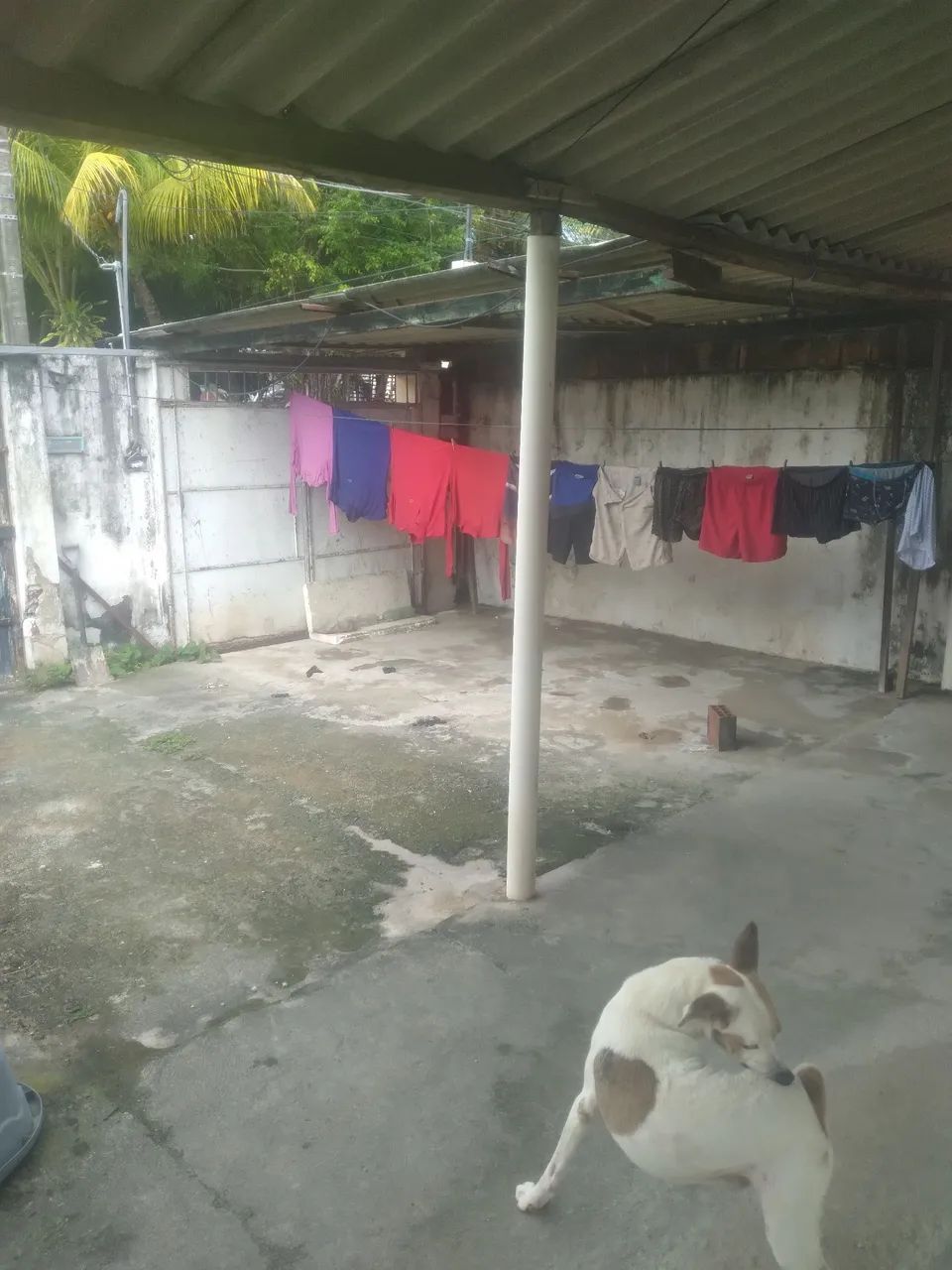 Casa - Foto 3