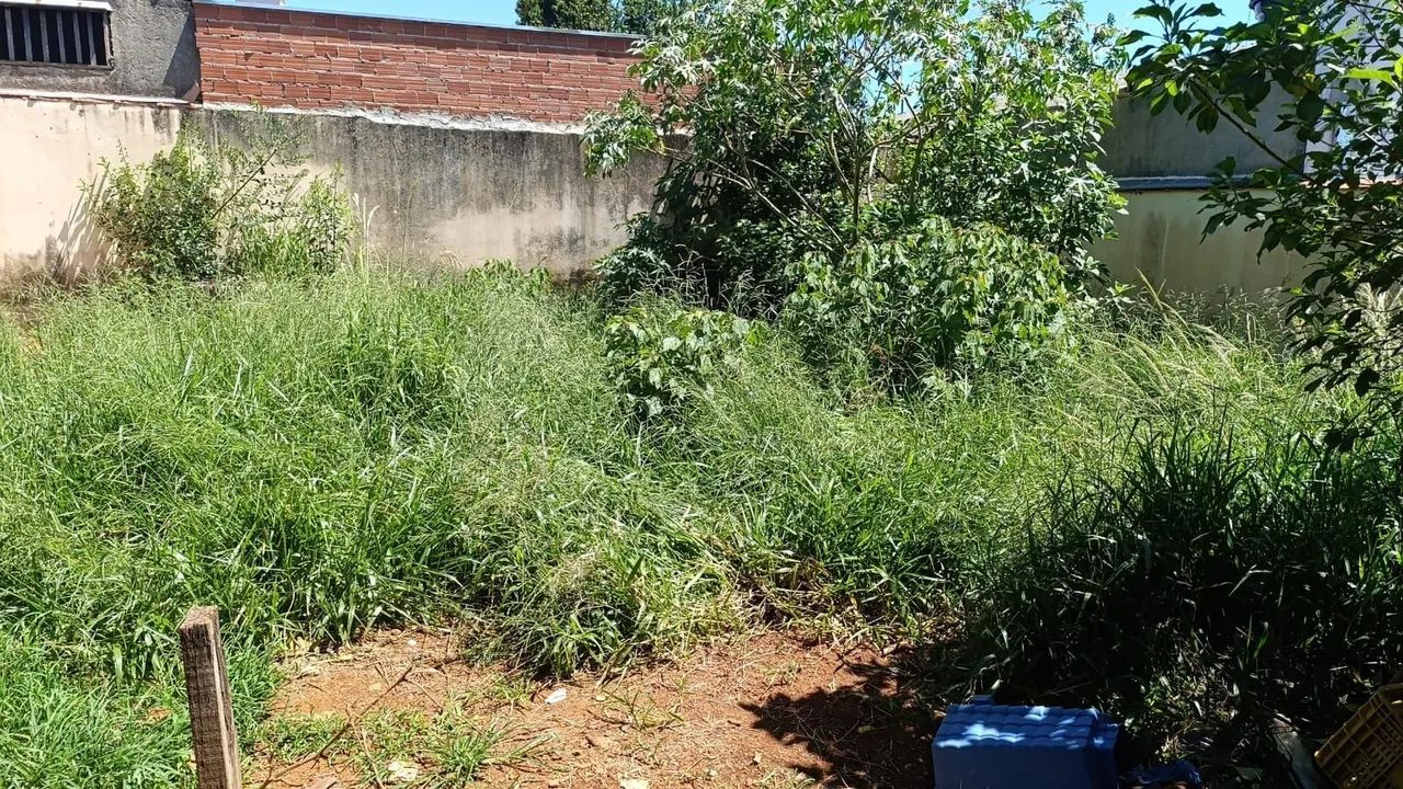 Roçagem e capinas