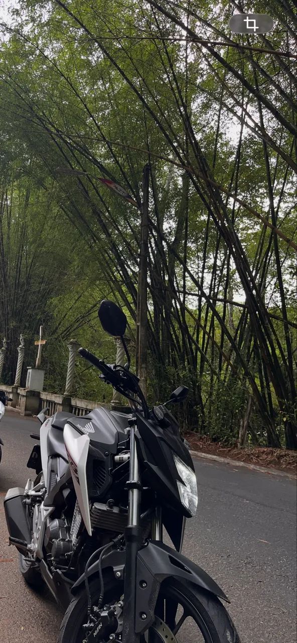 Honda CB300F - Foto 3