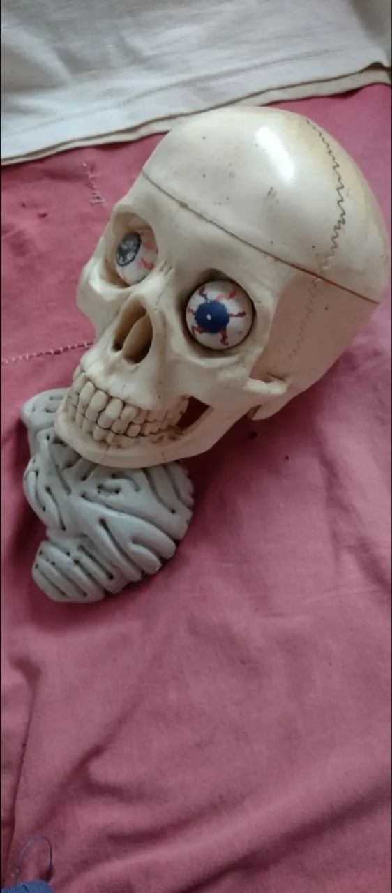 CAVEIRA DE PLÁSTICO REALISTA  - Foto 5