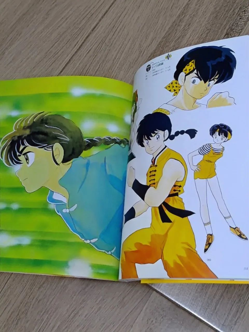 Ranma 1/2 - Artbook - Livros e revistas - Vila Boa Vista, São