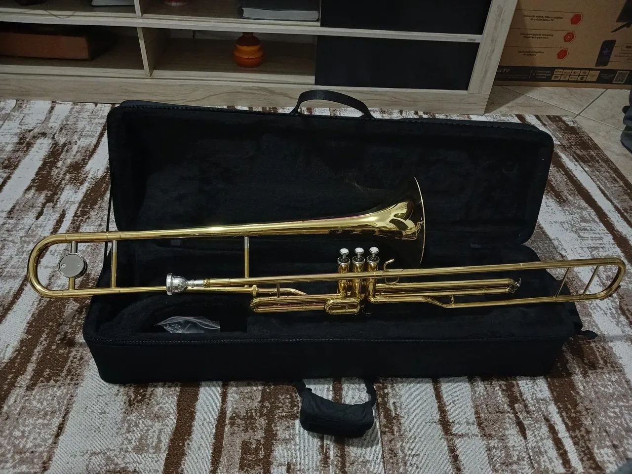 Trombone harmonics novo!!!