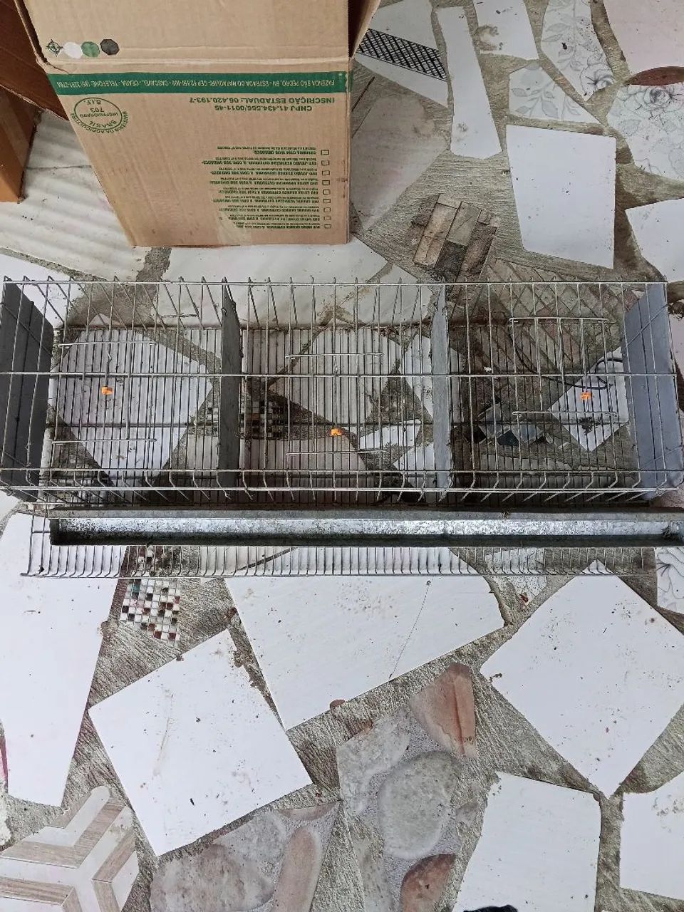  GAIOLAS PARA CODORNAS JAPONESAS 