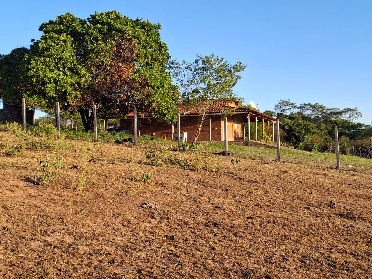 Sitio em palmeira dos indios - Foto 4