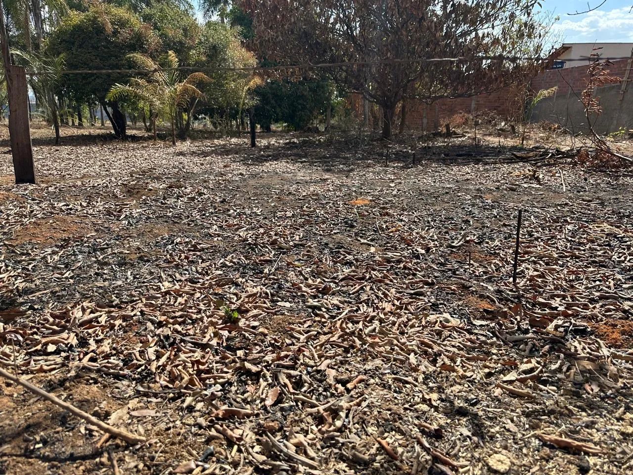 Lote em Aragoiania  - Foto 4