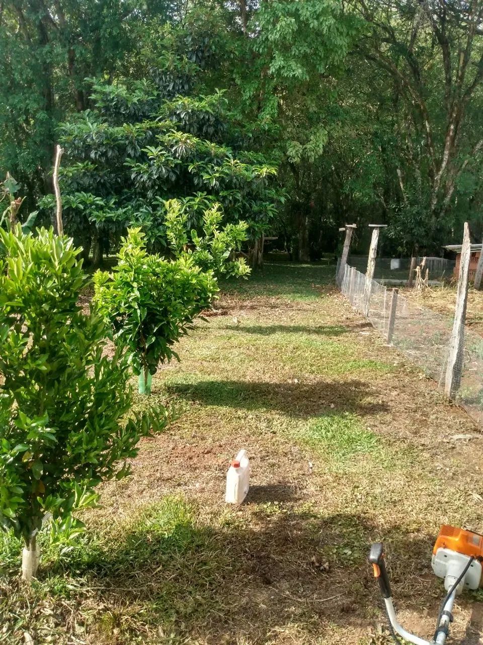 Chácara - Foto 4