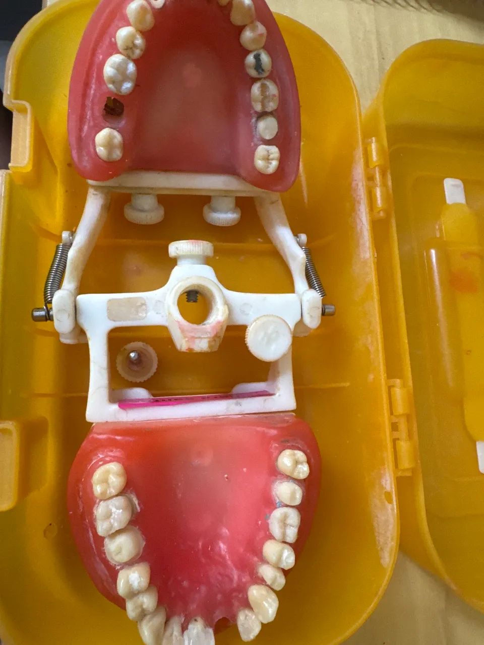 Manequim pronew dentística - Foto 2
