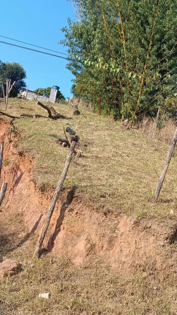 Foto - Barueri - Parque dos Camargos