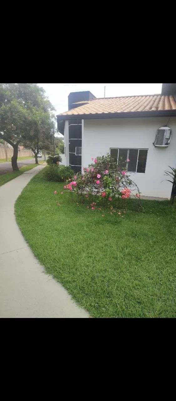 Serviços de jardinagem e paisagismo  - Foto 2