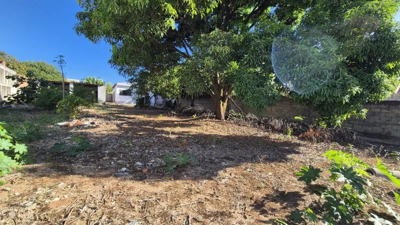 Lote de 990mA² - Foto 3