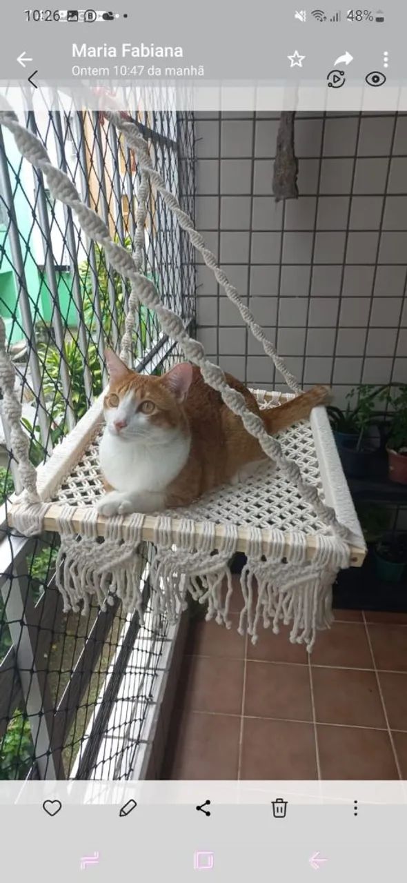 Caminha de gato  - Foto 4