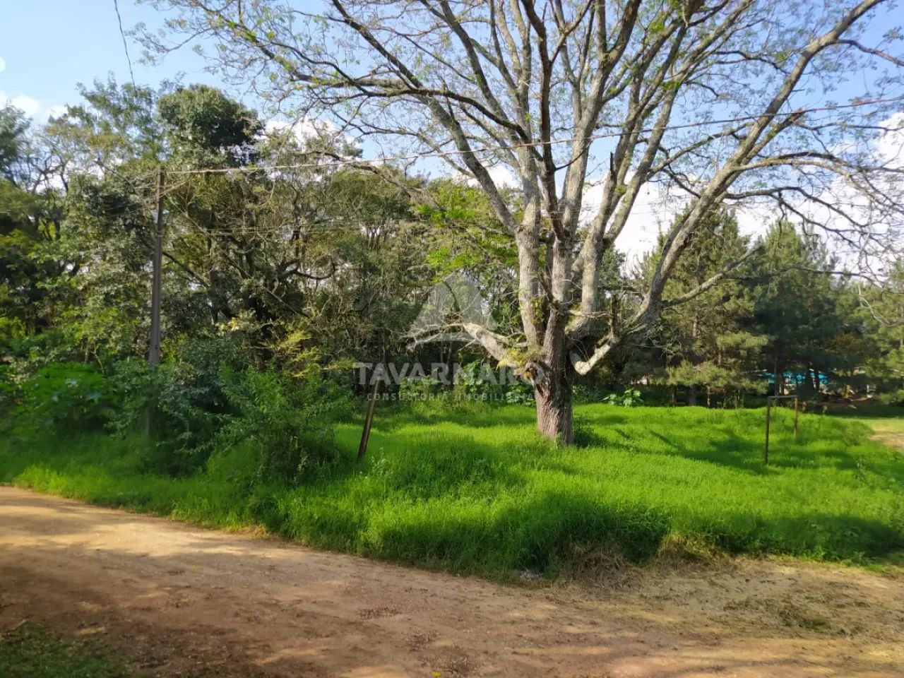 Terreno Padrão em Ponta Grossa - Foto 2