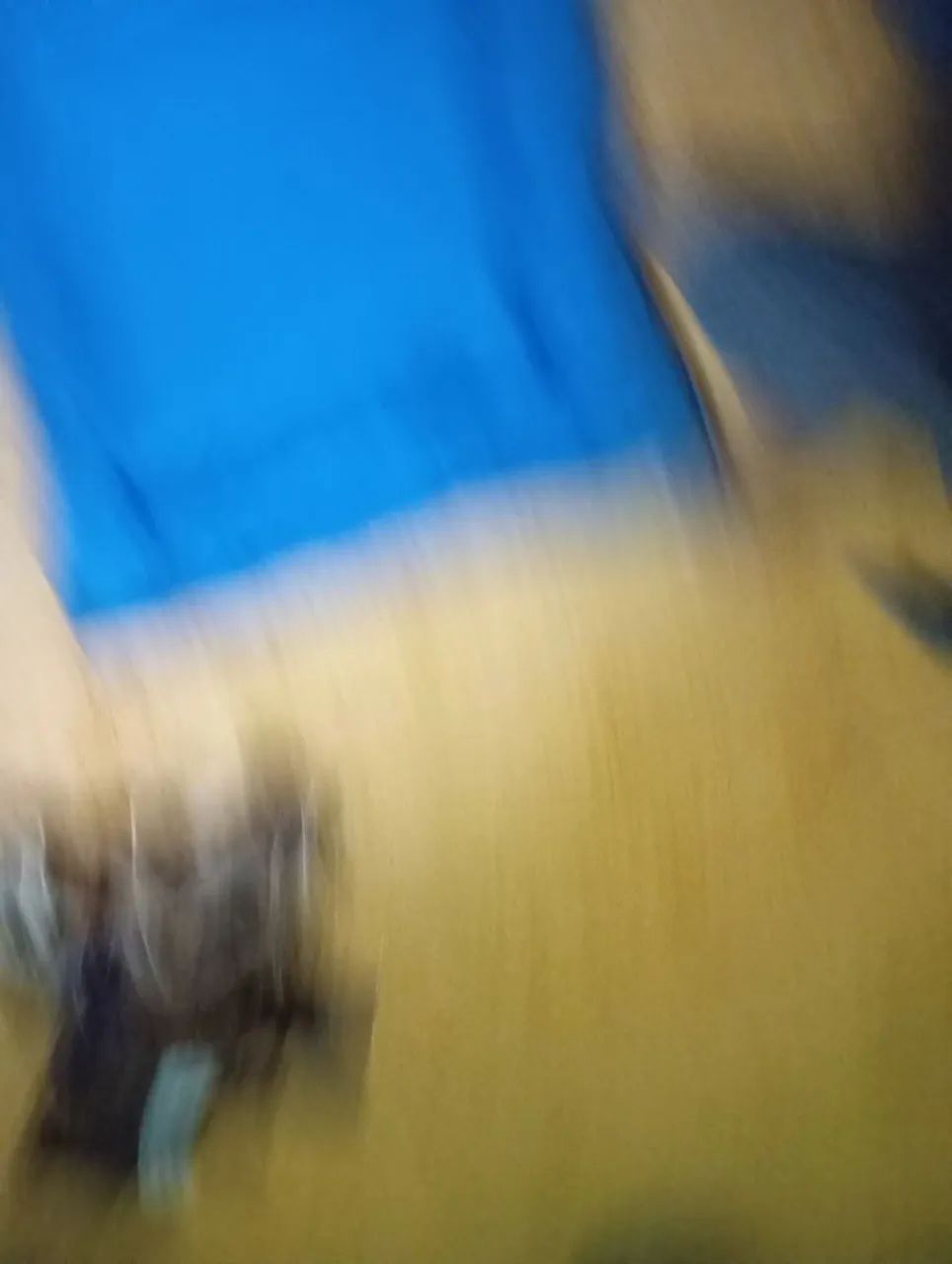 caminha para pet  - Foto 2