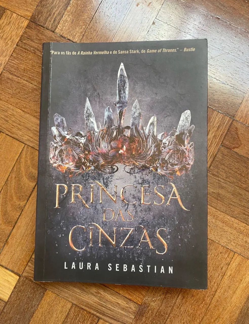 Princesa das Cinzas - volume 1