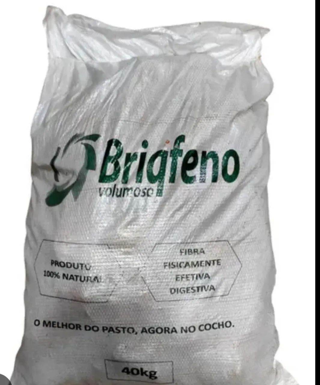 Briqhorse é Briqfeno  - Foto 3