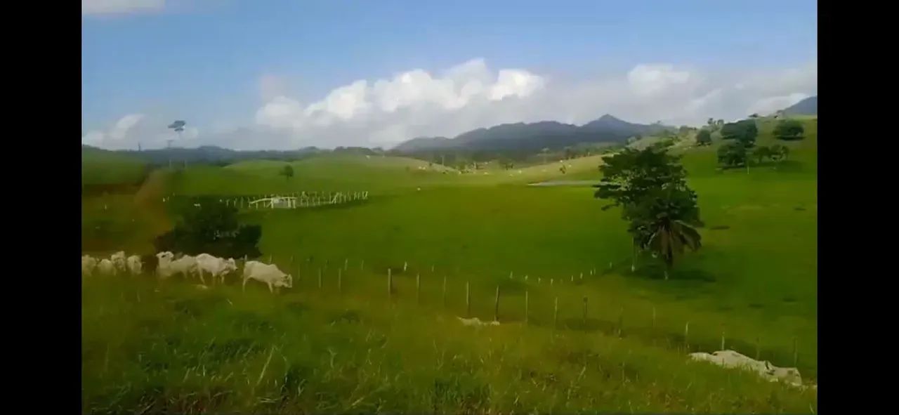 6.500ha em Itagí-BA - Foto 2