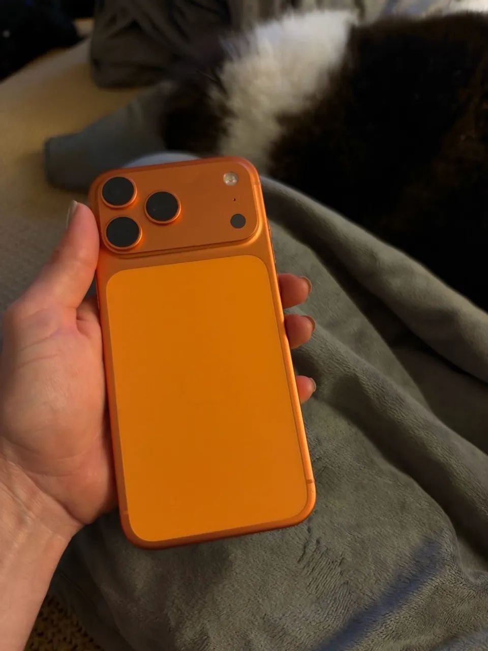 iPhone Pro Max 17