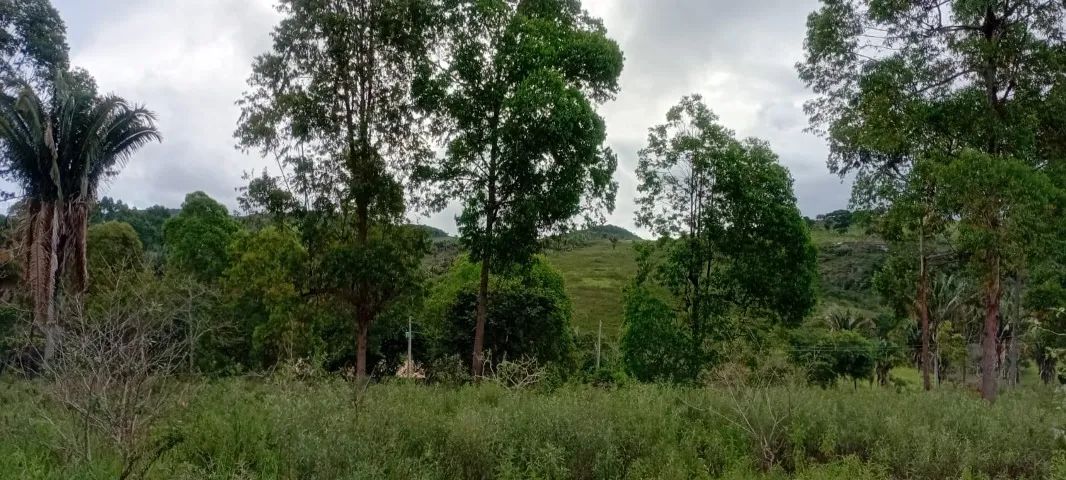 TERRENO NO PARQUE NACIONAL CIRCUITO SERRA DO CIPO - Foto 4