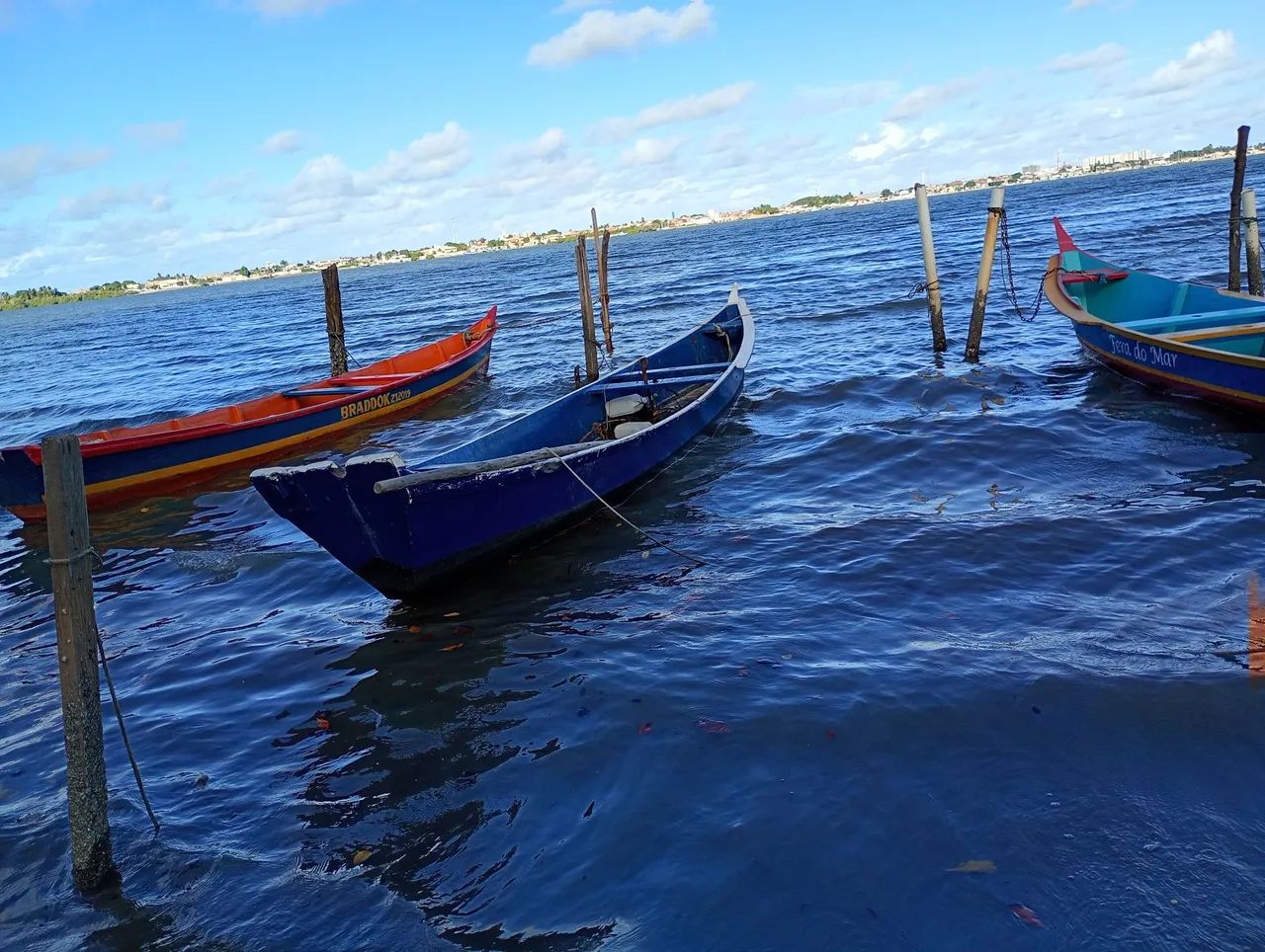 BARCO - Foto 5