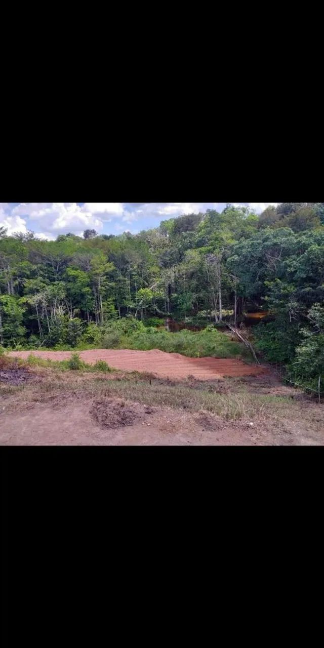 Vendo sítio ramal Bijudeu 17KM cidade. - Foto 5
