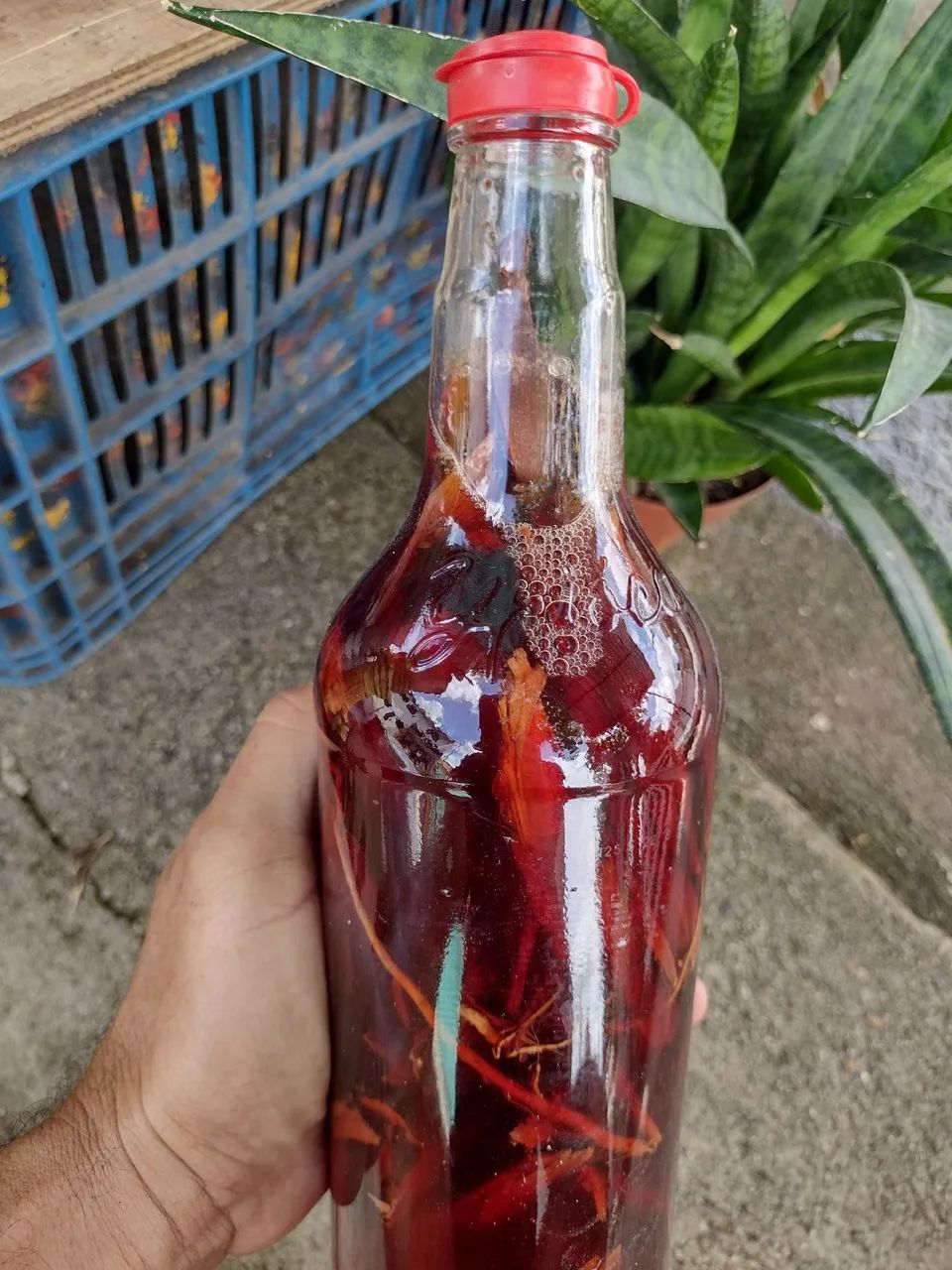Garrafada 