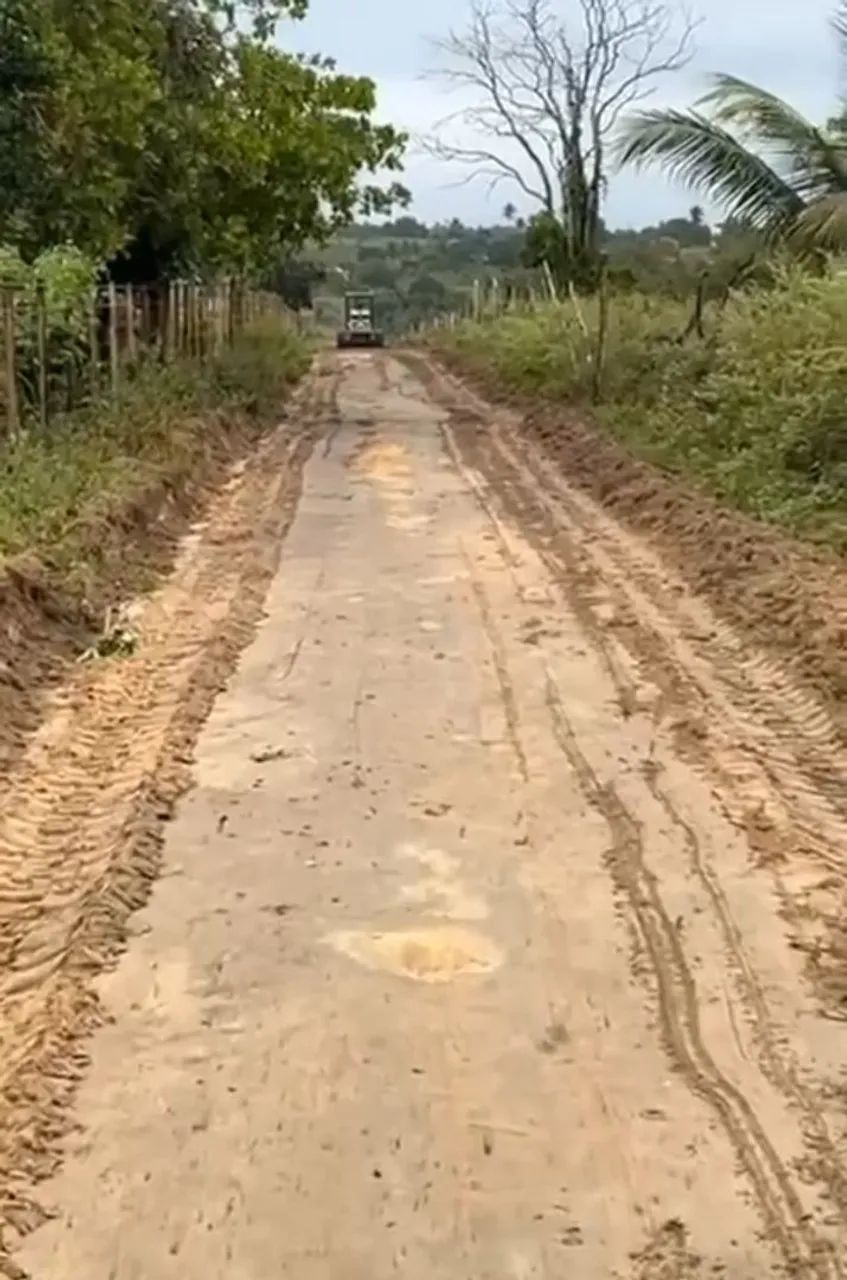 Foto - Irará - 