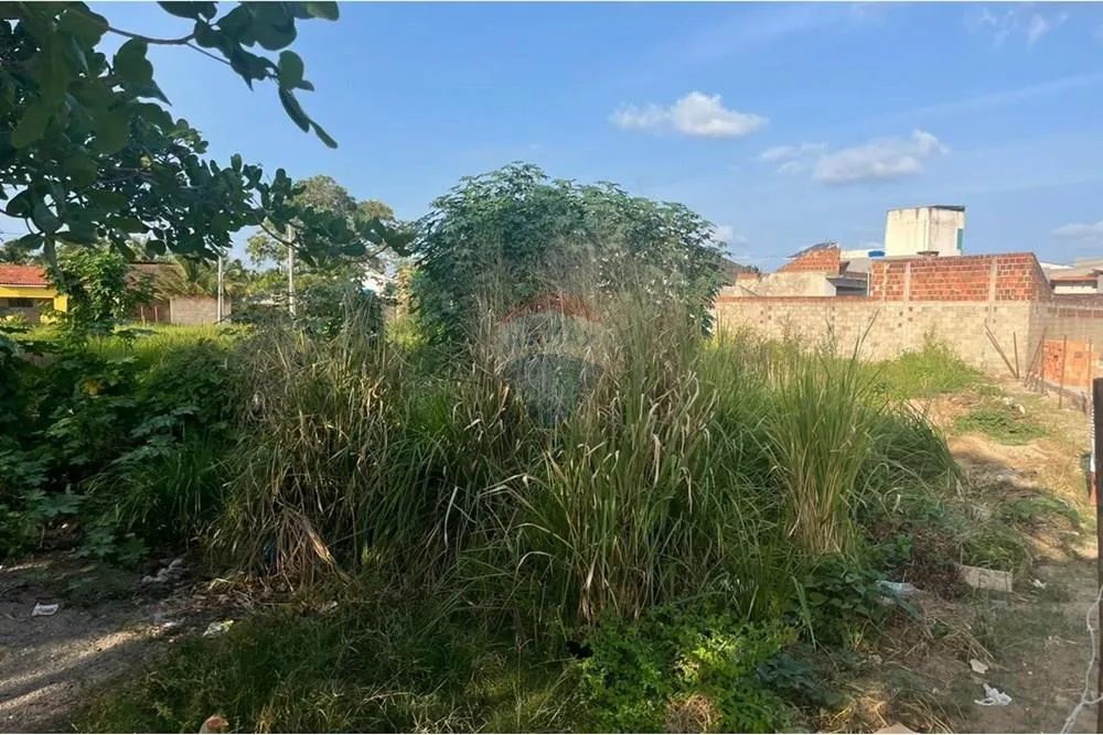 Terreno á venda São Miguel dos Milagres - Foto 8
