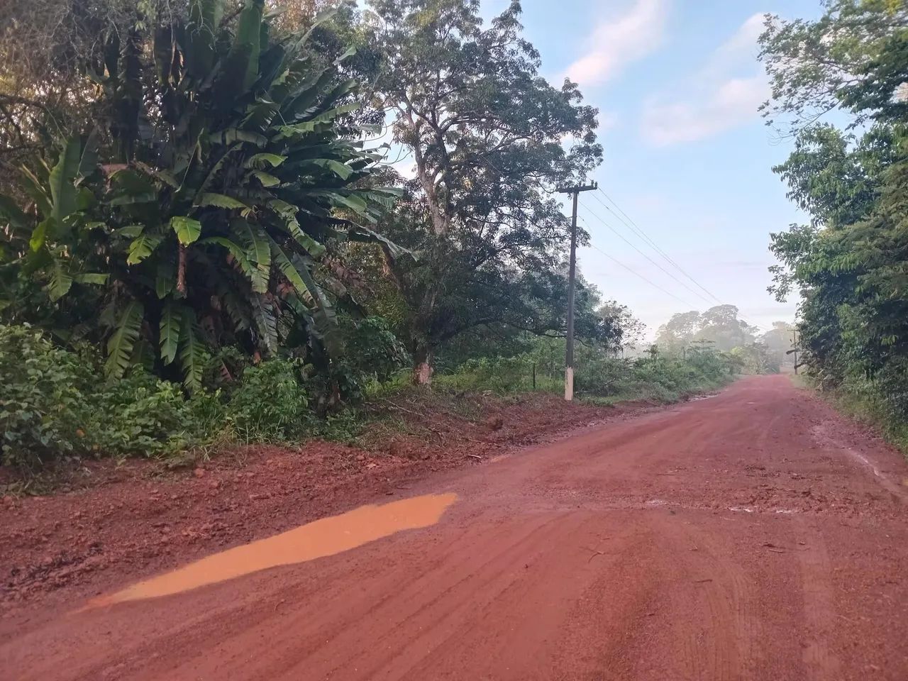 Vende-se sítio  - Foto 4
