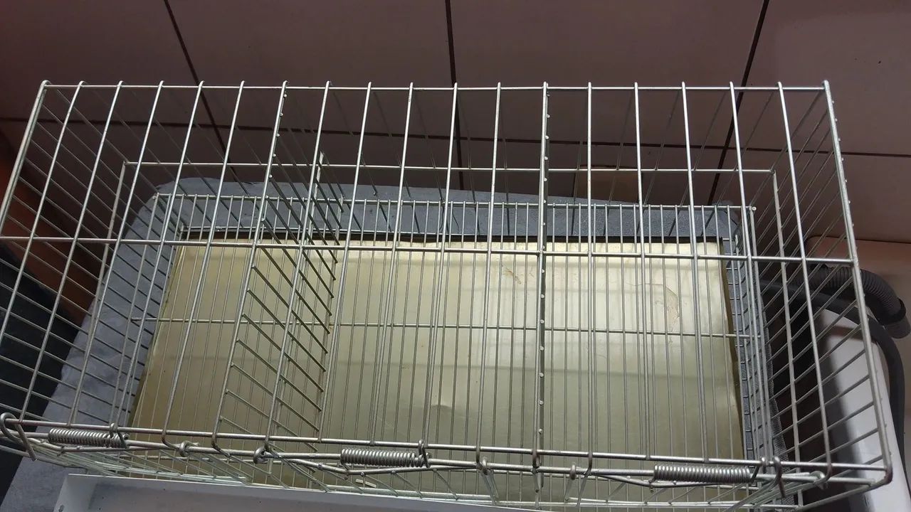 Gaiola de codorna  - Foto 2