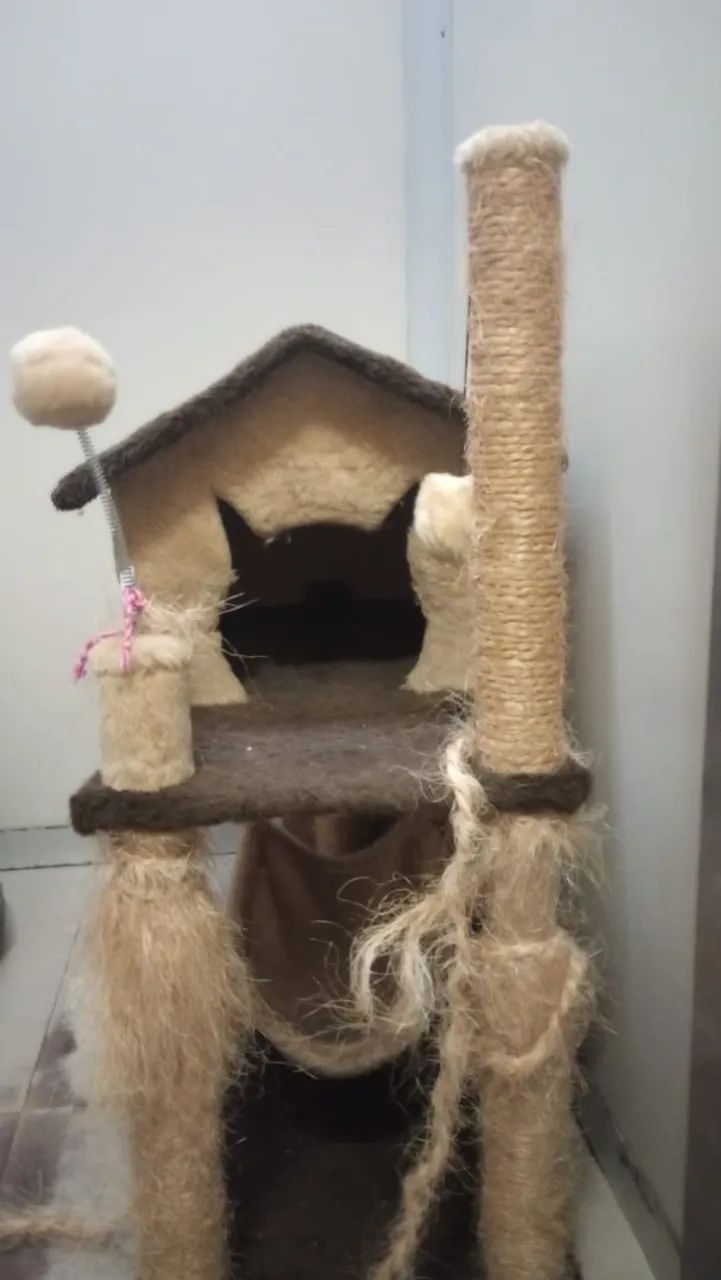 Casa de gatos 
