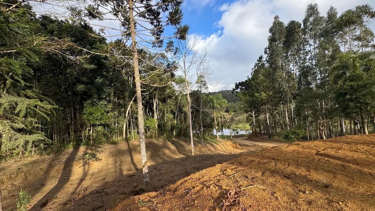 Foto - Campina Grande do Sul - 