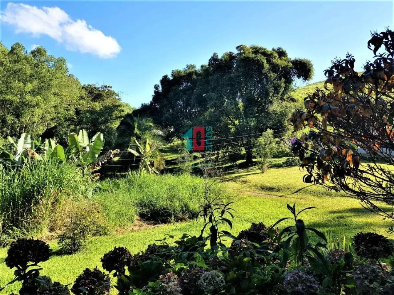 Ipiabas | Fazenda 3 quartos, sendo 1 suite - Foto 9