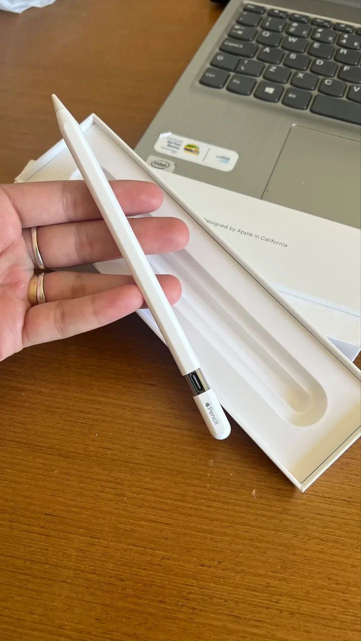 Apple Pencil USB-C - Celulares e Smartphones - Rui Pinto Bandeira