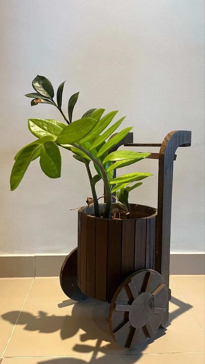 Cachepot Carrinho em madeira