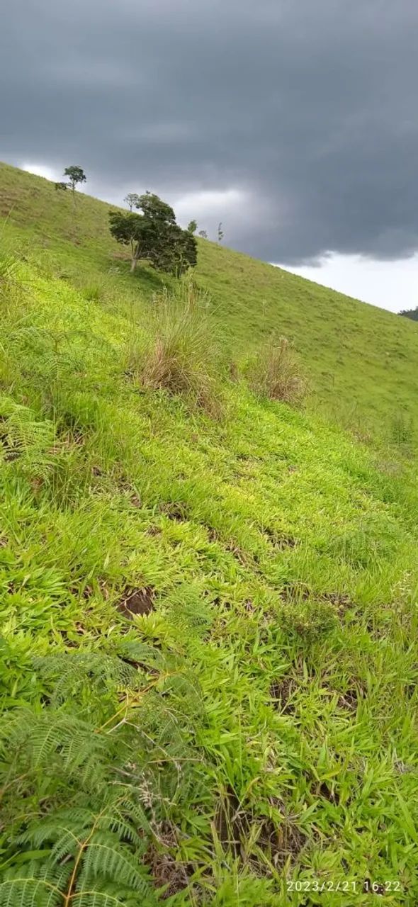 Sítio são Luís do Paraitinga  - Foto 5