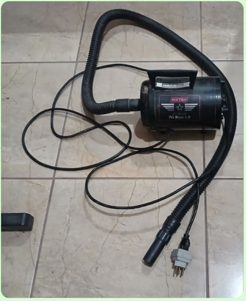 Banho e tosa 