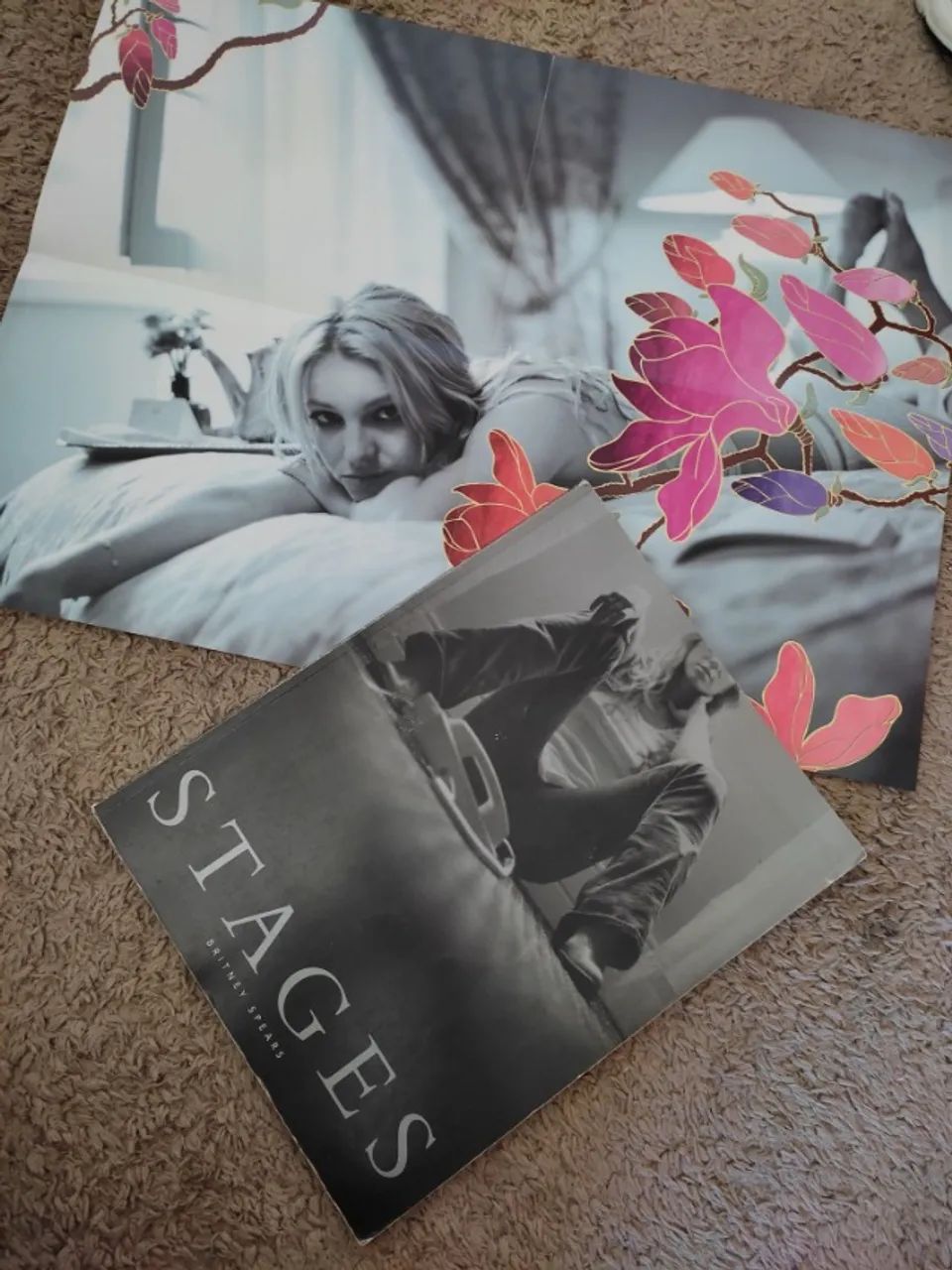 Britney Spears Stages 2002 Livro + DVD + Pôster Original