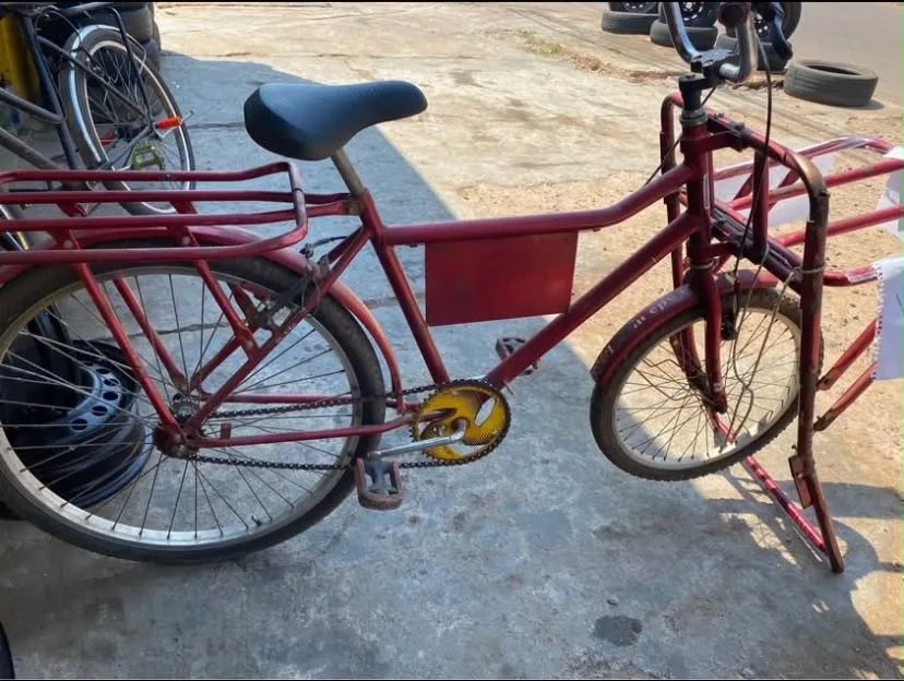 Bicicleta Cargueira 